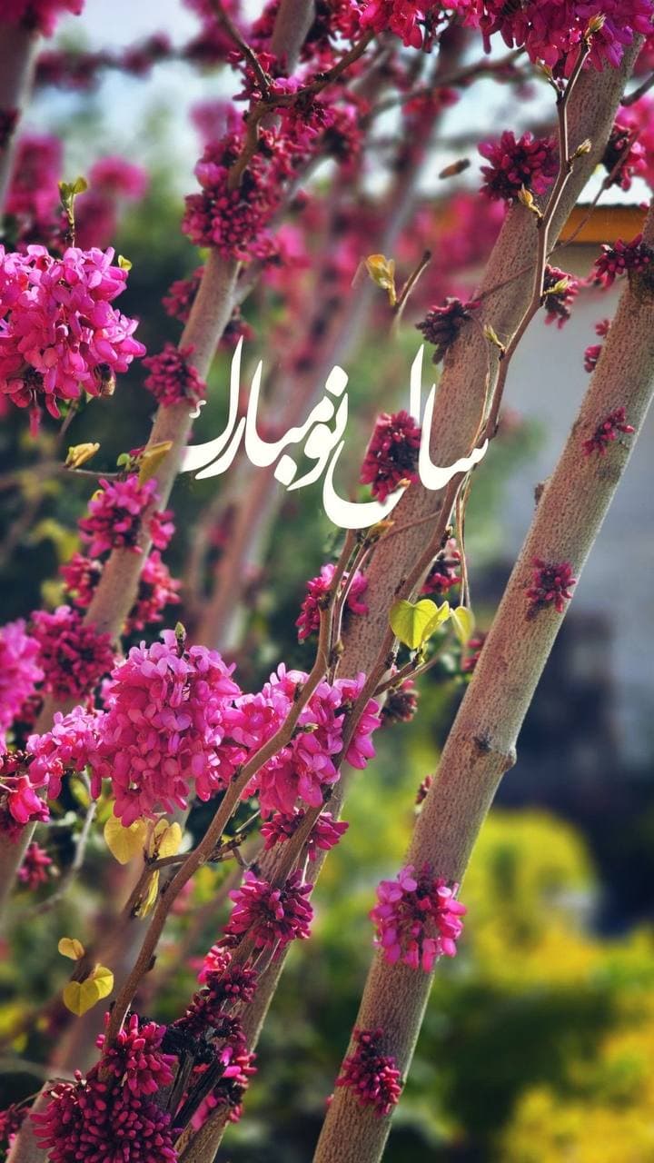 سلام همکاران محترم عید تان مبارک